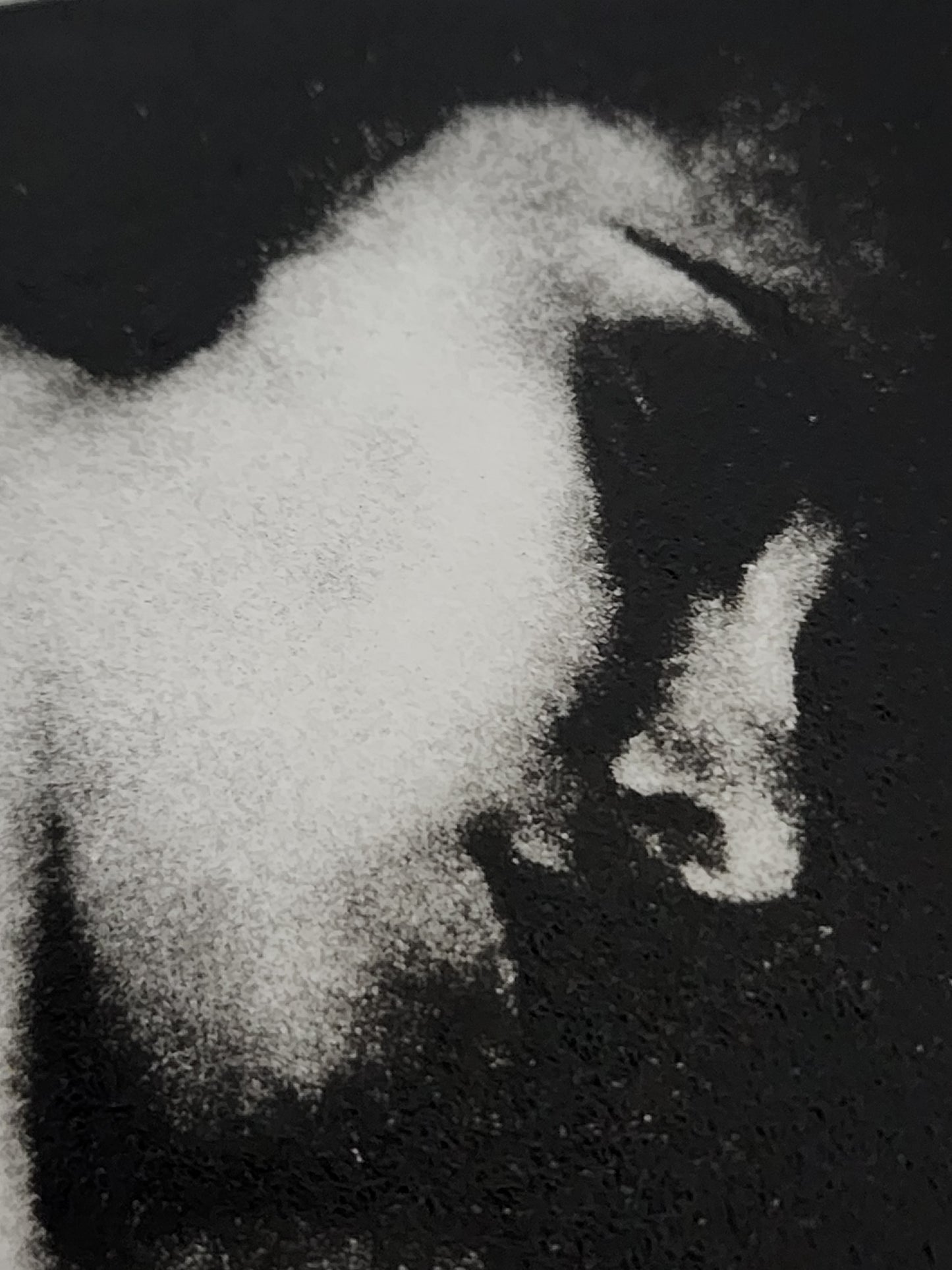 "Training Day", x/3 Photogravure