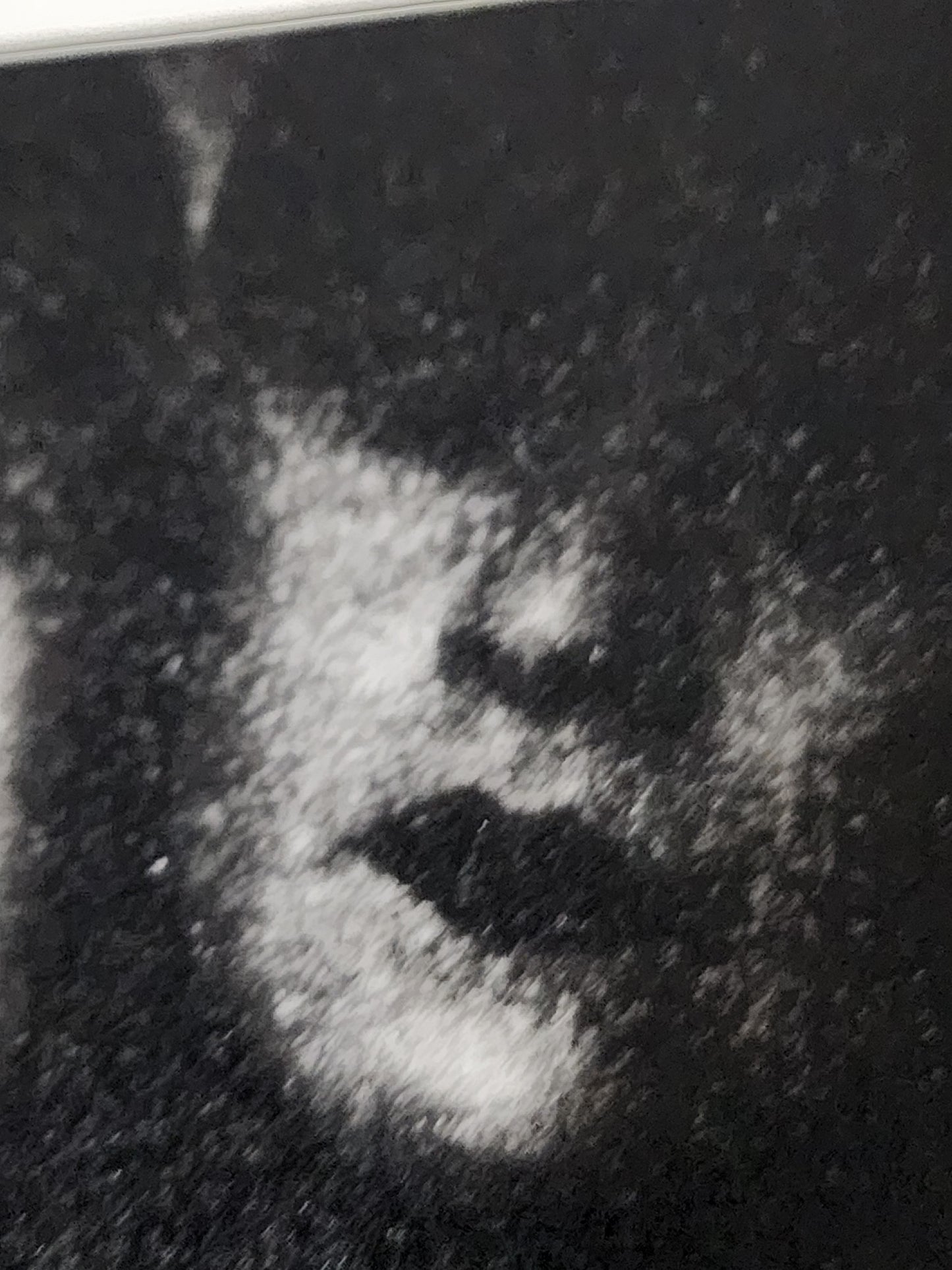 "Training Day", x/3 Photogravure