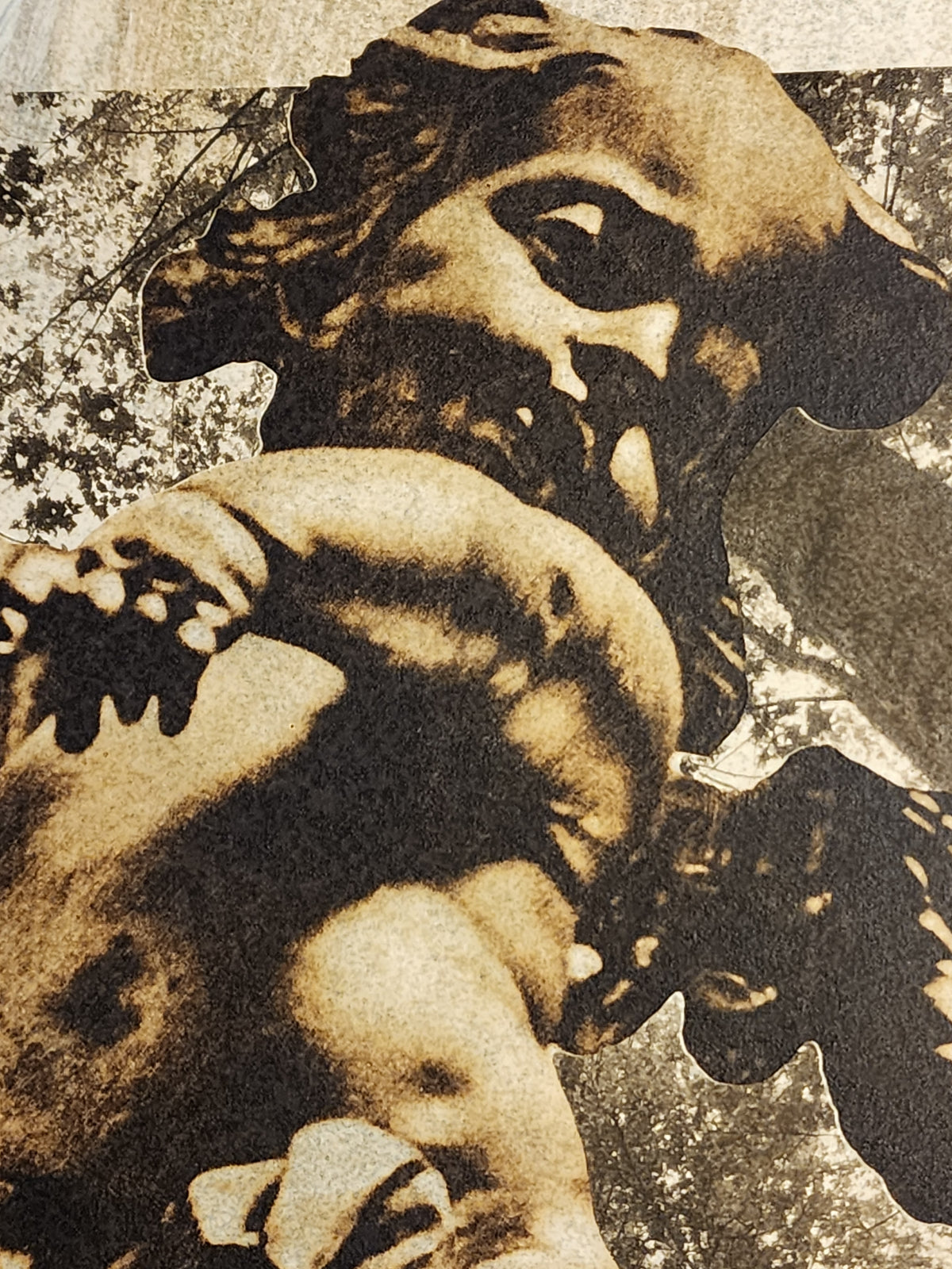 "Angel Descends on a Dying Man"